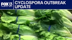FDA says positive Cyclospora lettuce test was a false alarm