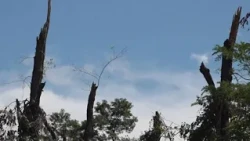 Lancaster County experiences damage and power outage after severe thunderstorms