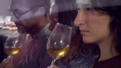 ESPECIAL FIESTAS DE LA VENDIMIA JEREZ 2026 (PROGRAMA 1) - MARTES 01/09/2026