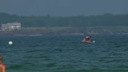 Scarborough beaches enact shark safety protocol Saturday