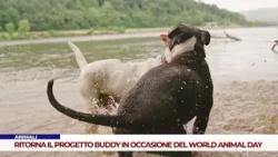 ANIMALI. RITORNA IL PROGETTO BUDDY IN OCCASIONE DEL WORLD ANIMAL DAY
