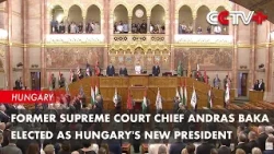 Former Supreme Court Chief Andras Baka Elected as Hungary's New President