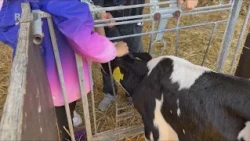 10 Years of AOK Farm Mentors - Where Children Can Experience Agriculture Firsthand - RFH aktuell