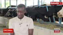 Omulimisa   Okuwakisa Ente ne Tekinologiya   Mu nkola eno  ofuna olulyo  lw'oyagala