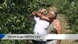 BiH je treća zemlja u Evropi, a sedma u svijetu po proizvodnji šljive