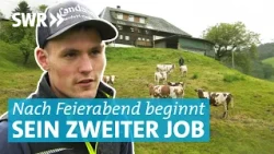 Landwirt im Nebenerwerb: Zwischen Weide, Logistiklager und Instagram