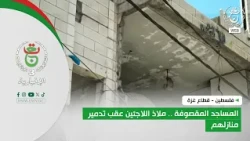 Palestine - Gaza Strip | Bombed Mosques.. A Haven for Refugees After Their Homes Were Destroyed