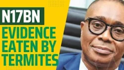 Nigeria Social Insurance Trust Fund Blame Termites For Eating N17bn Evidence | Koko Of The Matter