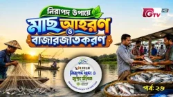 নিরাপদ উপায়ে মাছ আহরণ ও বাজারজাতকরণ | নিরাপদ খাদ্য ও সুস্থ জীবন | EP-23 | BSSF | GTV