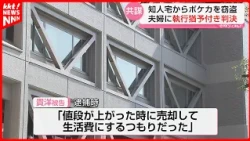 Couple Found Guilty of Breaking Into Acquaintance's Home Over Two Consecutive Days to Steal Pokém...