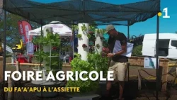 Agricultural Fair: From farm to table