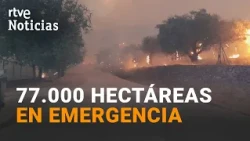 Four provinces fight wildfires | RTVE News