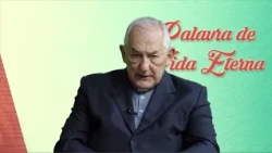 Word of Eternal Life - 09/11/2026 - Lk 6:39-42