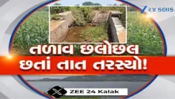 Chhota Udepur: 'બાર સાંઘે ત્યાં તેર તૂટે' જેવી ખેડૂતોની સ્થિતિ! વરસાદ ખેંચાતા સુકાવા લાગ્યો પાક