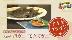 地域に根付く伝統の味 大仙市 川ガニ🦀モクズガニ🦀「土曜の情報缶詰どっかん！」◆アキタプライド◆2026年10月3日放送