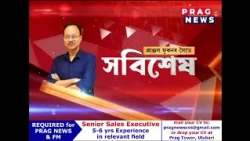 উজনি অসমত বানৰ তাণ্ডৱ