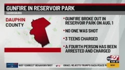 Fourth person charged in Harrisburg park shooting