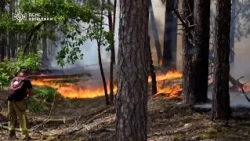 Ucraina: incendio nei boschi nella zona di Chernobyl, l'intervento dei Vigili del Fuoco