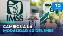 What’s Happening with IMSS Modalidad 40? Changes to the Contribution Scheme Announced