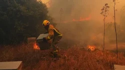 Spagna orientale, incendio a Castellón: i vigili del fuoco in azione