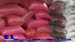 CODECOH condena perdida de grandes cantidades de granos básicos en bodegas del IHMA