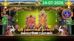 Sri Padmavathi Ammavari || Kalyanotsavam || Tiruchanoor || 14-07-2026 || SVBC2 Tamil || SVBC TTD