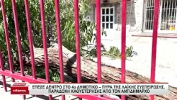 Έπεσε δέντρο στο 4ο Δημοτικό- Πυρά της Λαϊκής Συσπείρωσης, παραδοχή καθυστέρησης από τον αντιδήμαρχο