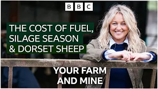 The Cost of Fuel, Silage Season and Dorset Sheep #farming #farminglife