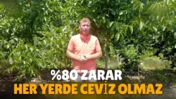 Her Yerde Ceviz Olmaz!