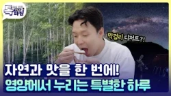 영양에서 낮🔅부터 밤🌙까지 다~ 즐기는 거양✨ [#지금은지방시대]