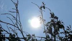 Stay Alert for Heatstroke! Another Day of Extreme Heat in Shiga Prefecture