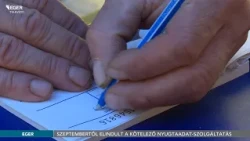 Szeptembertől elindult a kötelező nyugtaadat-szolgáltatás - 2026.09.10.