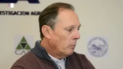 “Producimos más que nunca, pero perdemos dinero”:la advertencia de Fredy Lago sobre arroz uruguayo