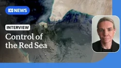 Houthis' capture of Mocha a 'significant' strategic push for control: security expert | ABC NEWS