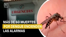 Dengue triggers alarms in Colombia