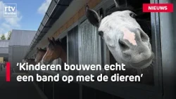New equestrian center DNP260905MH