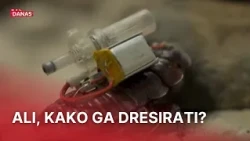 Žohar u službi čovjeka! Nećete vrištati kada ga vidite. Oni će nas možda spašavati | RTL Danas