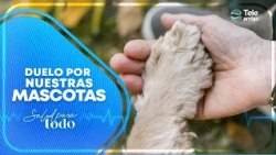 GRIEVING our PETS - Health for Everyone