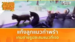 แก๊งลูกแมวกำพร้า ทัศนศึกษาพิพิธภัณฑ์สัตว์น้ำ | แซ่บทูเดย์