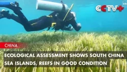 Ecological Assessment Shows South China Sea Islands, Reefs in Good Condition