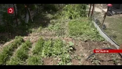 Կարկուտից վնասված տնտեսություններին փոխհատուցում է նախատեսվում