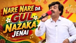 NARE NARE DA GUL NAZAKA JENAI  || Pashto Song || Sheeno Meeno || AVT Khyber