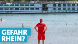 Schwimmen bei Strömung: Wie gefährlich ist der Rhein wirklich?