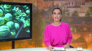 Naše zprávy (2026/78)