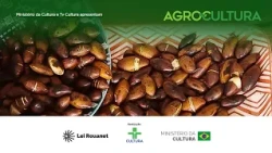 Agrocultura | How Coffee, Peanuts, and Technology are Revolutionizing the Field | 07/19/2026