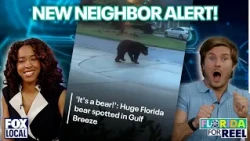 Bruno Mars concert proposal in Tampa? PLUS, Florida bear in neighborhood | Florida For Reel
