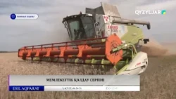 Мемлекеттік қолдау серпіні