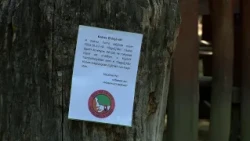 Tűzgyújtási tilalom - Fokozott figyelem szükséges az erdőkben is
