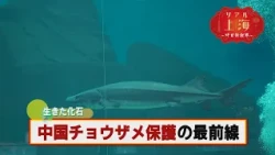 「リアル上海　～中日新視界～」　#59 　　2026.8.15OA分