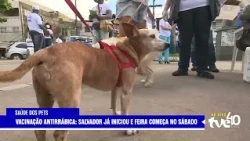 RABIES VACCINATION CAMPAIGN BEGINS IN SALVADOR AND FEIRA DE SANTANA | TVE NEWS 07/20/2026
